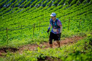 BIB: 2341
                            <button type="button" onclick="openModal(19162819)" class="btn btn-primary btn-sm float-right btn-popup" data-toggle="modal" data-target=".modal-high-quality">
                        <i class="fas fa-shopping-cart"></i> Add to Cart
                    </button>
                                            <button type="button" onclick="isThisMe(19162819, true)" class="btn btn-success btn-sm float-right btn-popup btn-isme hidden" data-toggle="tooltip" data-placement="bottom" title="นี่คือรูปของคุณใช่ไหม คลิกที่นี่เพื่อเอาเข้าอัลบั้ม">
                        <i class="fas fa-plus"></i> Add to album
                    </button>
                    <button type="button" onclick="isThisMe(19162819, false)" class="btn btn-warning btn-sm float-right btn-popup btn-isnotme hidden">
                        <i class="fas fa-ban"></i> Remove from album
                    </button>